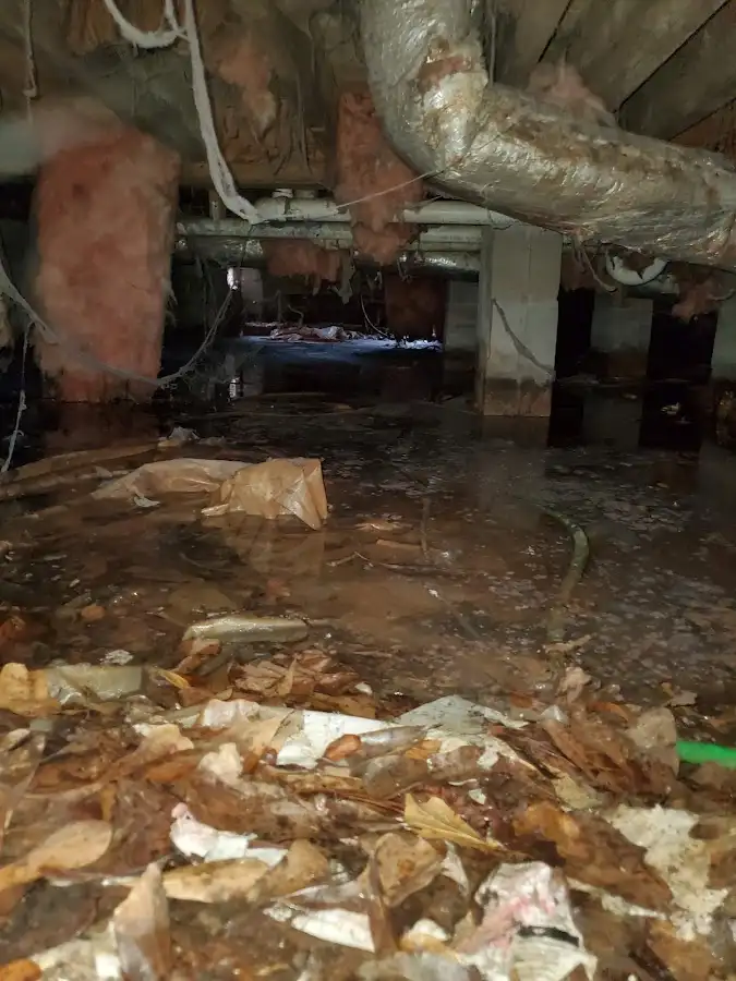 Crawl space flood assessment for Leak Detection & Repair in Oak Bluffs